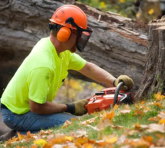 tree services New Lothrop